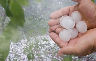 17 000 hectares of vineyard damaged by hailstorm in Bordeaux and Cognac