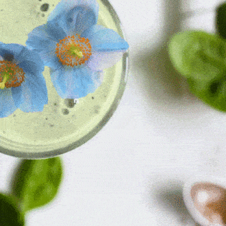 Flores para cócteles recomendadas por expertos