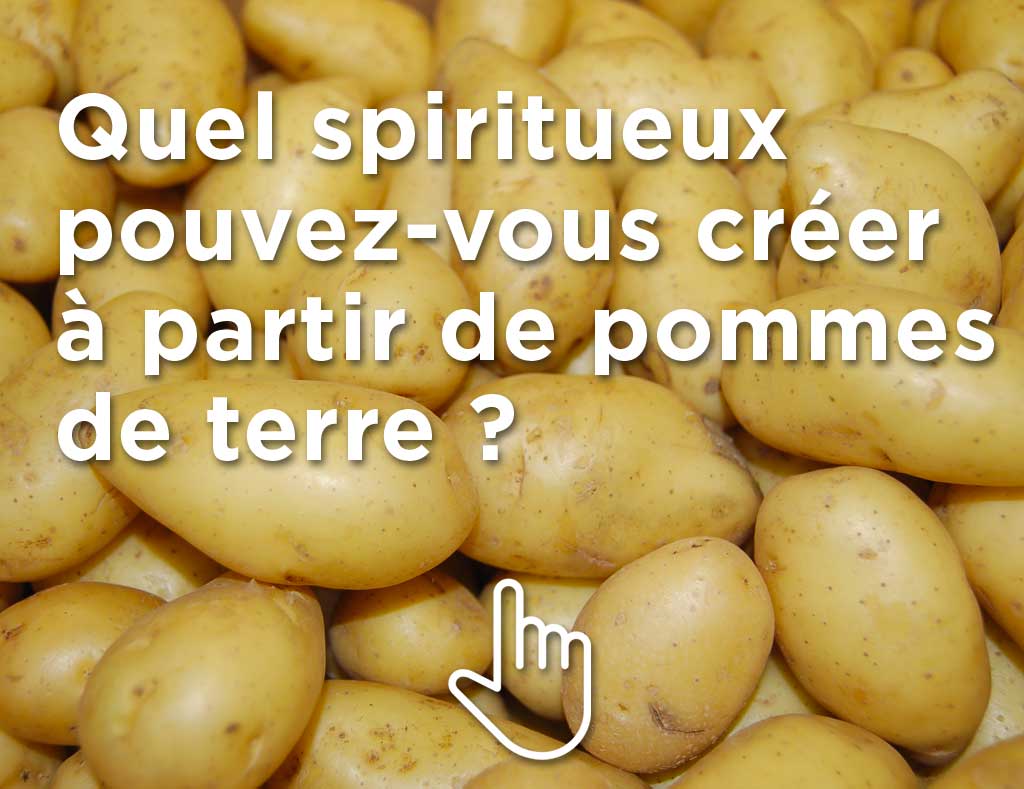 Quel spiritueux pouvez-vous créer à partir de pommes de terre ? Glissez votre doigt sur la photo back