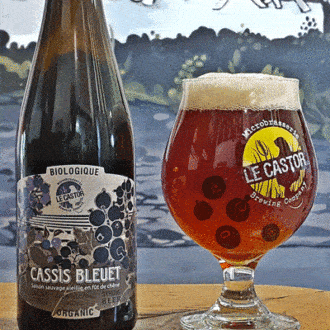 Canadá. La micro-cervecería Le Castor y su más reciente cerveza a base de arándanos y grosella negra 100 % biológica