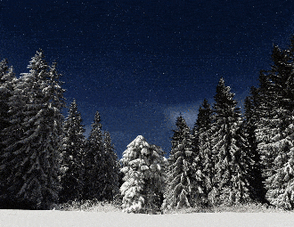 Canadá. La ginebra bretona H2B de la Distillerie du Golfe ahora en disponible en el mercado canadiense