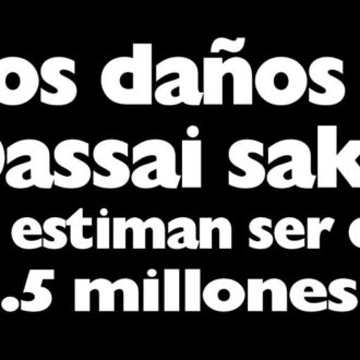 Japón. Intensas lluvias baten record e interrumpen producción de bebidas espirituosas de la filial de Asahi Dassai Sake