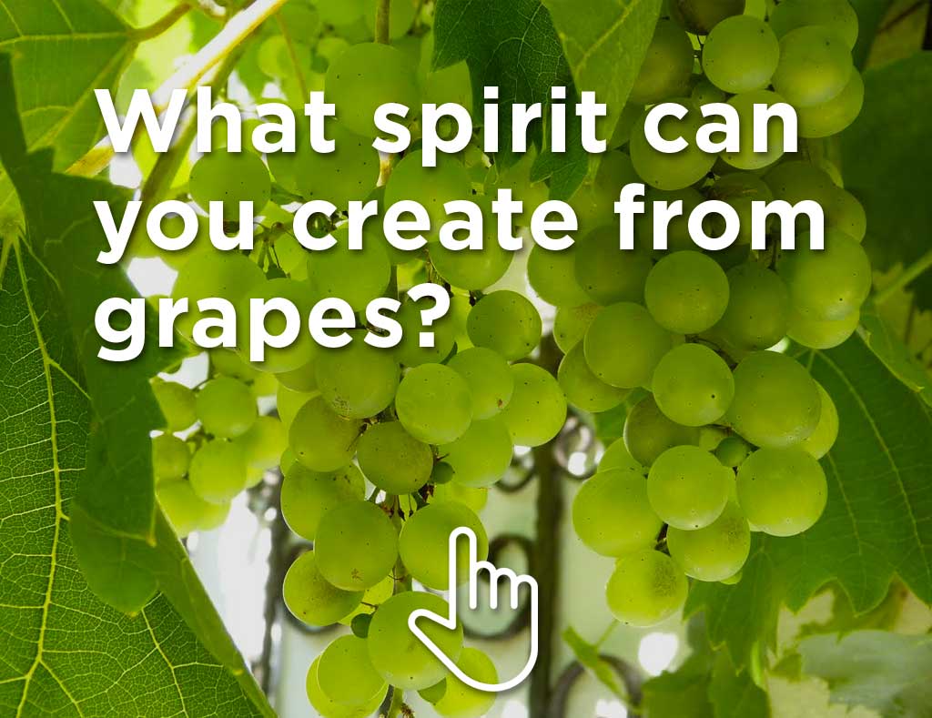 Which spirit can you make from grapes? Swipe the picture with your finger back