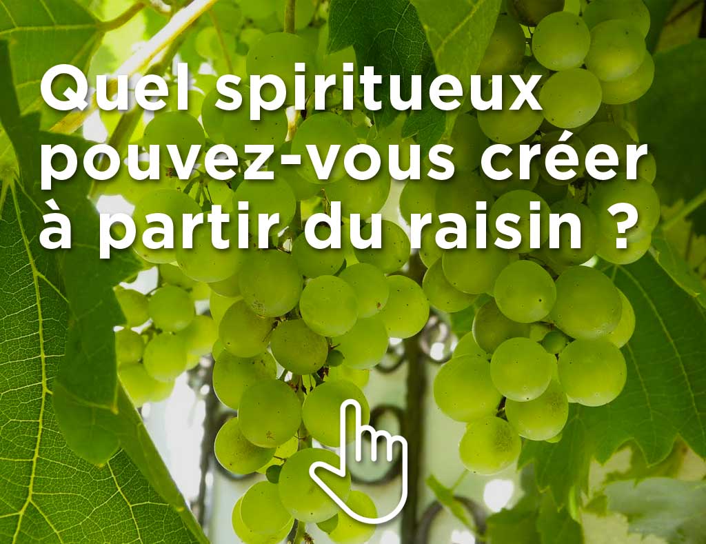 Quel spiritueux pouvez-vous créer à partir de raisin ? Glissez votre doigt sur la photo front