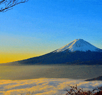 México. Japón se perfila como el segundo mercado mas prometedor para exportar tequila