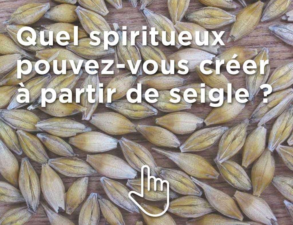 Quel spiritueux pouvez-vous créer à partir du seigle ? Ce n’est pas du whisky ! back