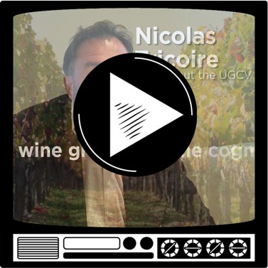 La Part des Anges: Nicolas Tricoire membre de l'UGVC cognac