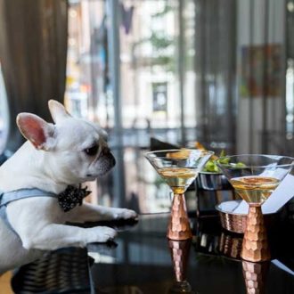 Boston. Te contamos todo sobre el cóctel efímero más caro de la ciudad