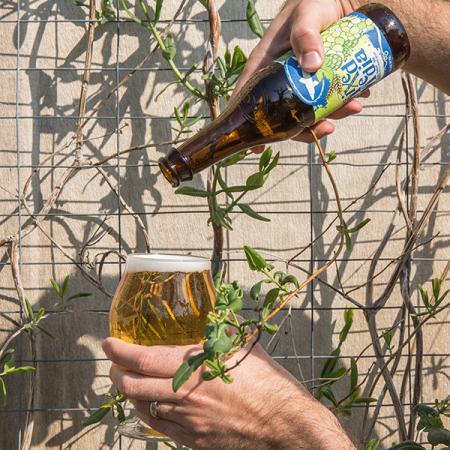 Six wine-beers that you absolutely need to know
