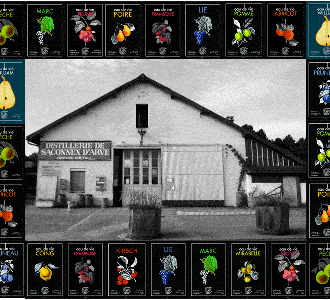 Encuentro con un artesano destilador en Ginebra