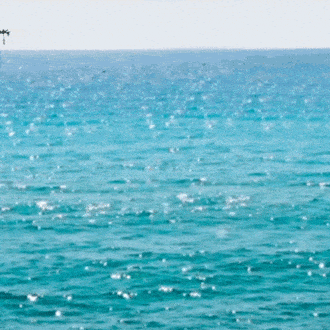 Una entrega excepcional en la playa de Santo Tropez