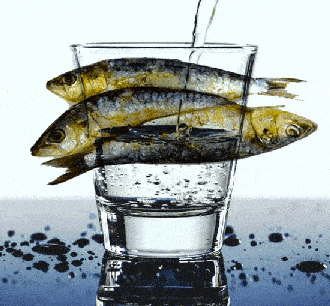 Simone Veil: su gusto por el arenque y por la degustación del vodka