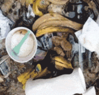 Francia. Nicolas Hulot preconiza la prohibición de las pajitas de plástico