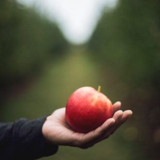 Francia. Agrial: productor de sidra en Francia compra importante marca británica