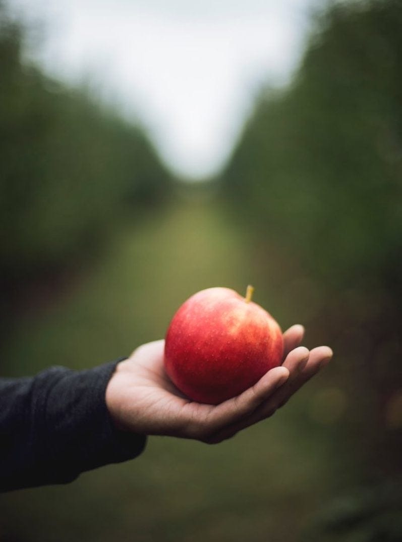 Le leader français du cidre Agrial rachète Aston Manor