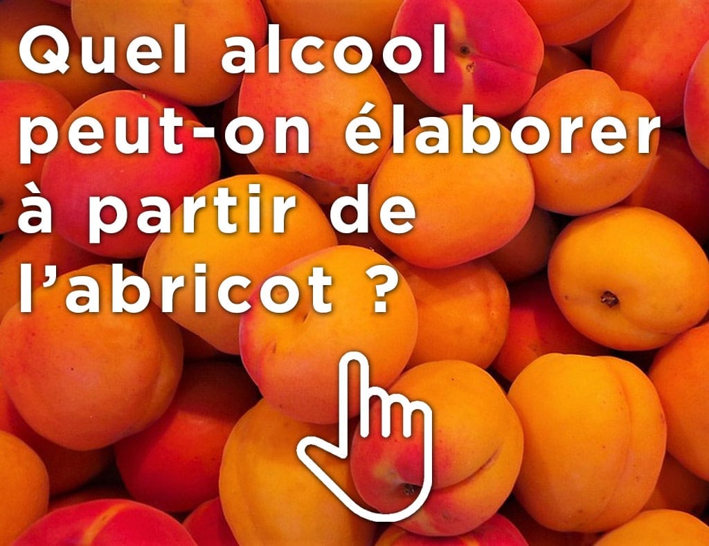 Je viens des Balkans, et on me produit à base d’abricots! Effacez la photo pour le découvrir back