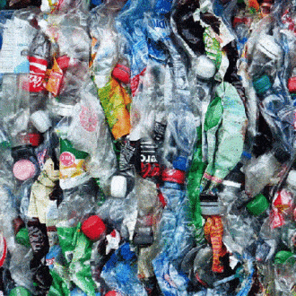 Ecover está cambiando el mundo con botellas ecológicas