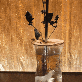 El bar «Le Cheval Illuminé» imaginado por Georgette Moger-Petraske y Emanuele Balestra