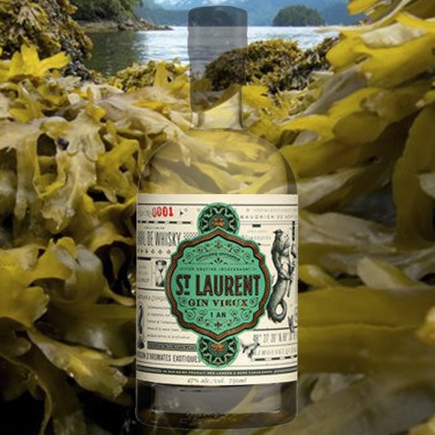 The St. Laurent gin distilled with seaweed from the Saint-Laurent River