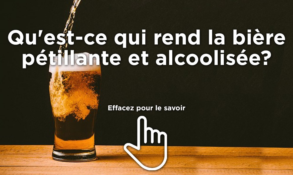 Quel processus rend la bière pétillante et alcoolisée? Effacez la photo avec votre doigt back