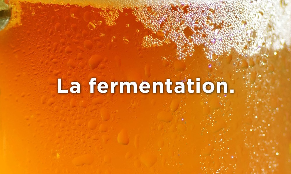 Quel processus rend la bière pétillante et alcoolisée? Effacez la photo avec votre doigt front