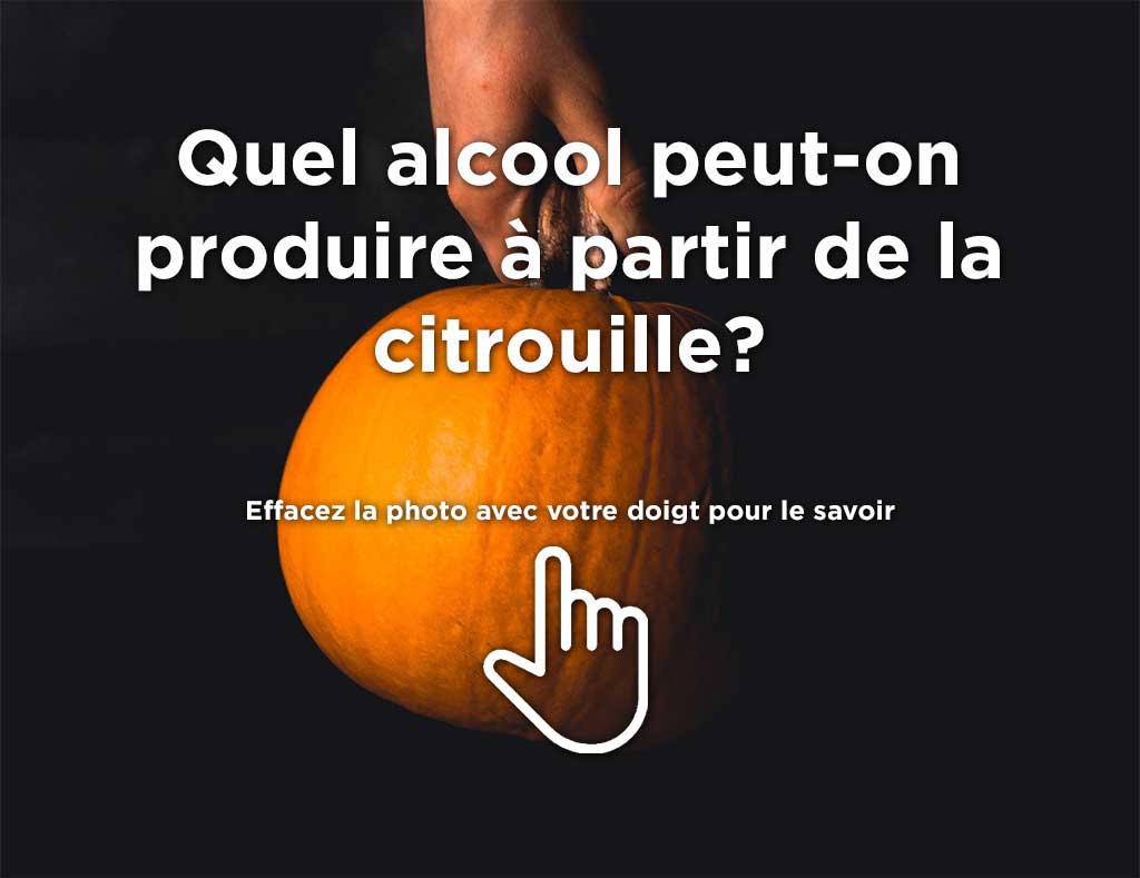 Quel alcool pouvez-vous préparer à partir de citrouille? Glissez votre doigt sur la photo pour le découvrir back