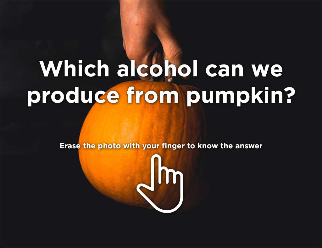 We are sure you know this one. Which alcohol can we produce from pumpkin? Erase the photo on the screen with your finger to discover back