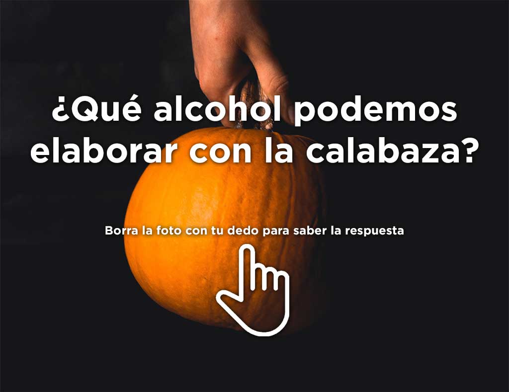 ¿Qué alcohol se puede hacer con la calabaza? Desliza el dedo sobre la fotografía para descubrirlo back
