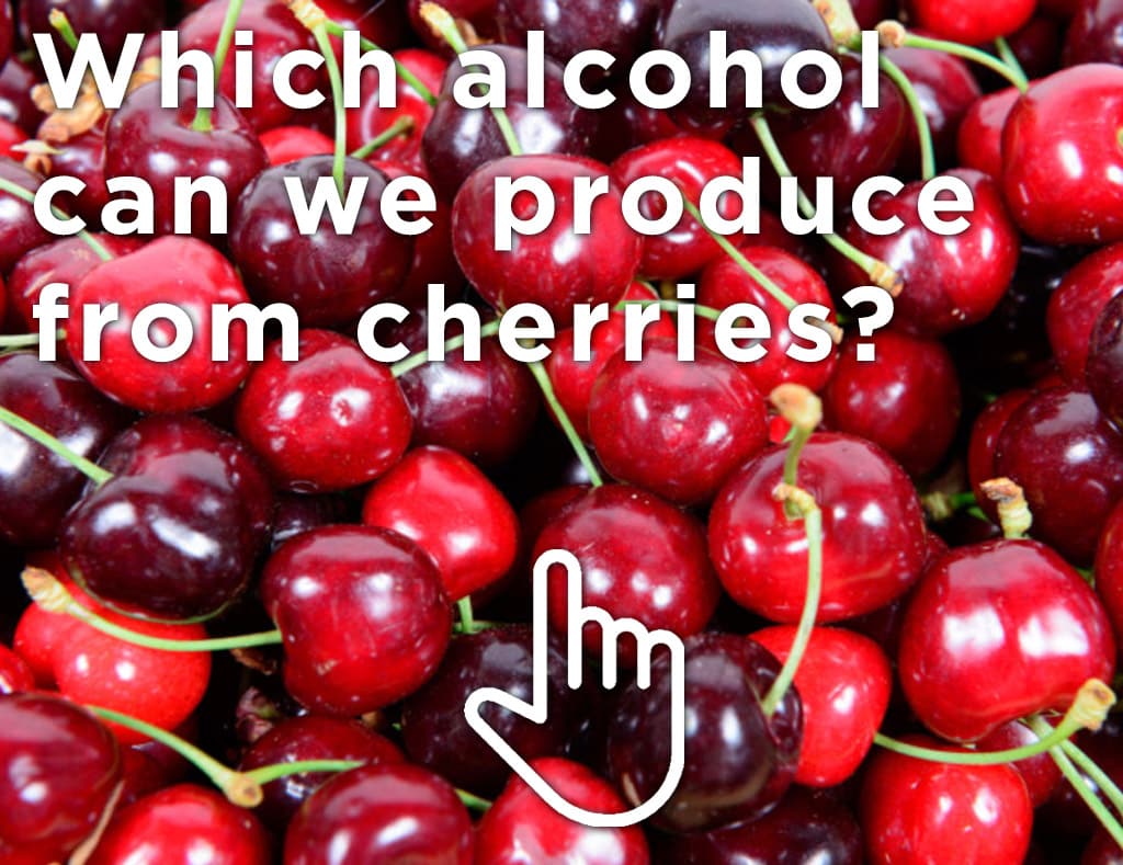 Guess. Which alcohol can we brew from cherries? back