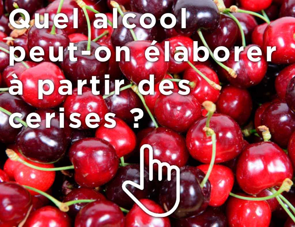 Devinez : quel alcool pouvez-vous produire à partir des cerises ? back