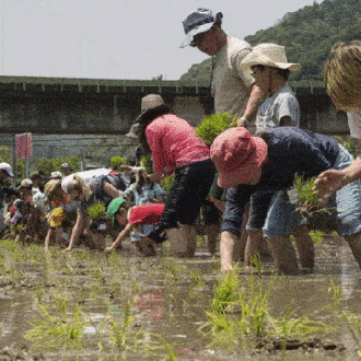 Los turistas descubren la industria del sake en Japón: una bonanza para el turismo japonés