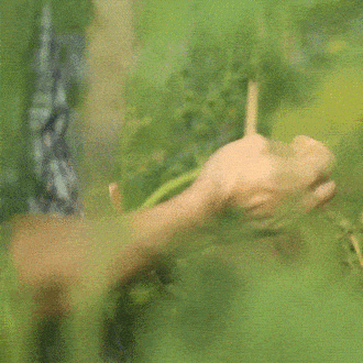 Max Levy: uno de los mejores chefs de Hong Kong