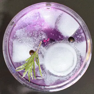 Los secretos del mítico Gin Tonic