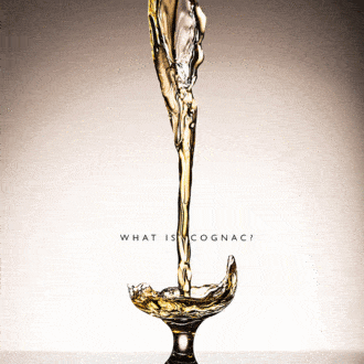 Todo lo que quería saber sobre el coñac