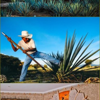 Espaciosas habitaciones en forma de barril de tequila en Mexico
