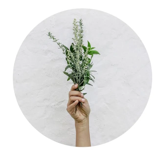 cocktails à base d'herbes