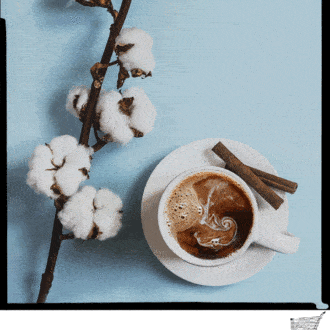 Cóctel de la semana: Sake-Chata en Curiosity Café