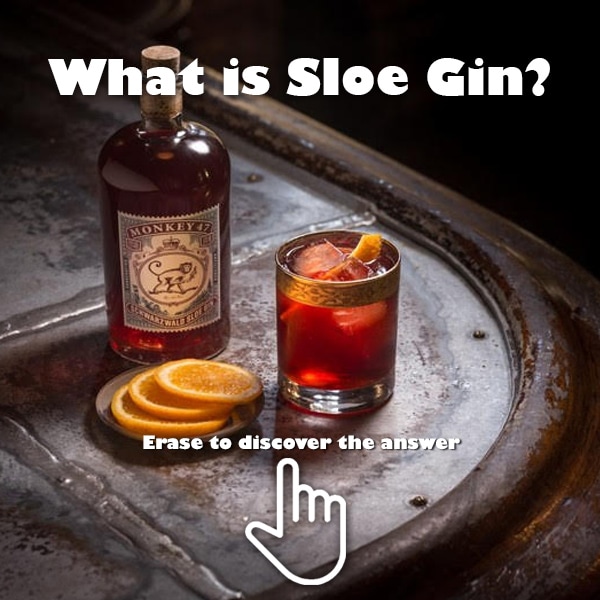 What is Sloe Gin?… Hint: it’s not gin! Swipe your finger over the image to discover it back