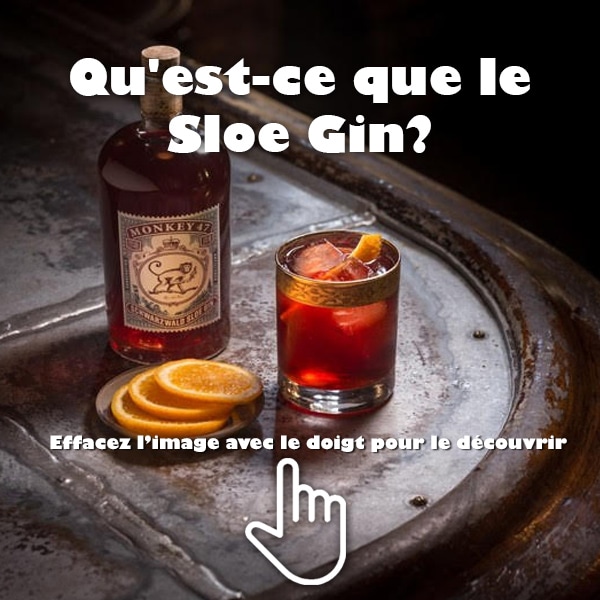 Qu’est-ce que le Sloe Gin ? Glissez votre doigt sur l’image pour découvrir back