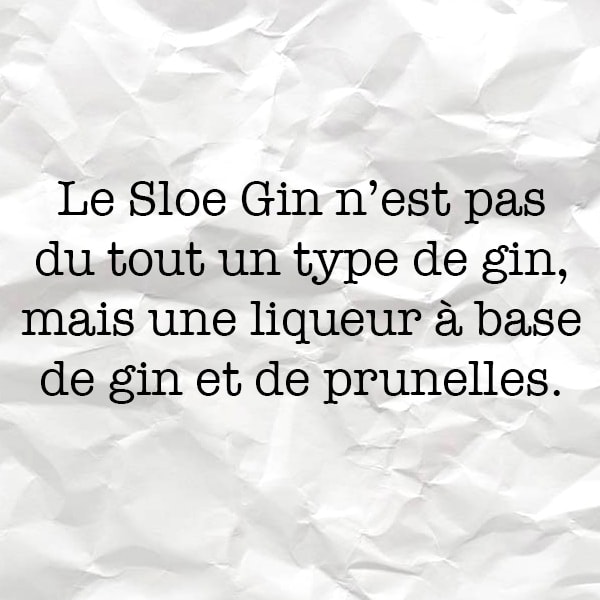 Qu’est-ce que le Sloe Gin ? Glissez votre doigt sur l’image pour découvrir front