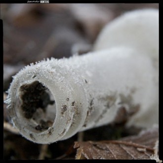 Changer la définition de la vodka