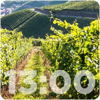 Viñedos de coñac aumentan tras decisión del Consejo de bassin Charentes-Cognac