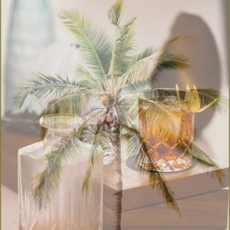 5 de los mejores rones y sus notas de cata