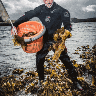 Tres fanáticos escoceses que ponen su pasión al servicio de la ginebra