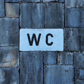 Science! Beer makes you want to go to the bathroom. Why?