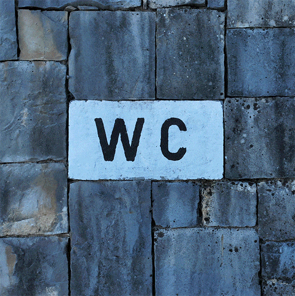 Science ! La bière donne envie d’aller aux toilettes. Pourquoi ?