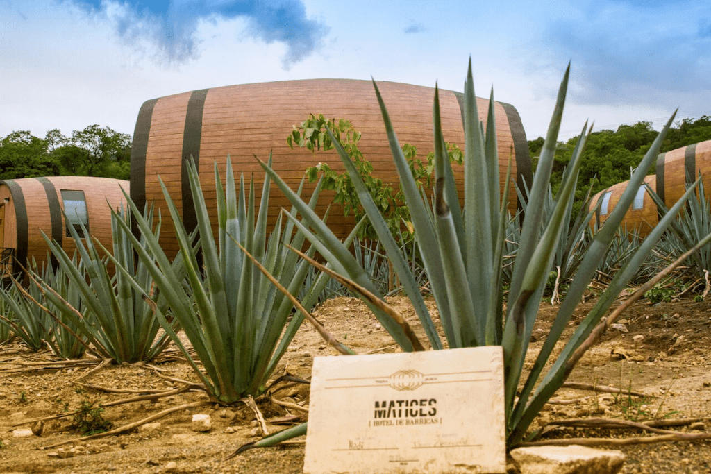 The unusual hotel rooms in the shape of a tequila barrel in Mexico