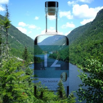 Un gin à base d’ingrédients de la forêt boréale canadienne