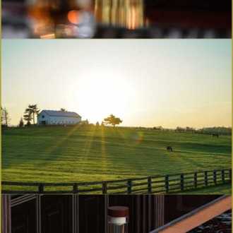 Solo encontrarás estas botellas de bourbon en Kentucky