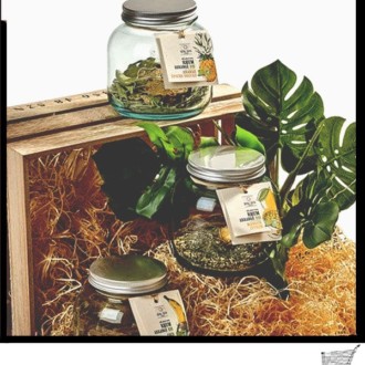 Una colección de preparaciones orgánicas para el ron preparado